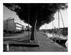 Lungolago