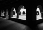 Nel chiostro della Basilica di S. Stefano , conosciuta anche come complesso delle 7 chiese.....uno scatto per voi , dopo una lunga attesa per la presenza di molti turisti