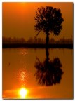 risaia all'alba