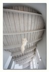 https://www.flickr.com/photos/giovanniq/52612930793/in/dateposted-public/
