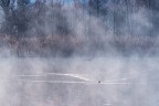 una fredda mattina di gennaio