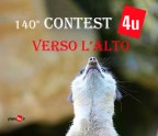 140 Contest: VERSO L'ALTO