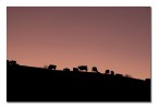 https://www.flickr.com/photos/giovanniq/52672407546/in/dateposted-public/