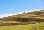 Basilicata  Loc. invaso di Locone