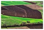 Valle della Poscola, Castelgomberto VI. Febbraio 2023