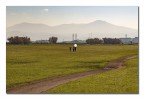 https://www.flickr.com/photos/giovanniq/52673048990/in/dateposted-public/