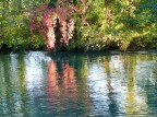 Treviso - Lungo le rive del fiume Sile