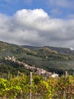 La mia gratitudine a tutti coloro che con la massima sincerit vorranno commentare, criticare o suggerire