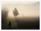 Colli Berici, marzo 2023