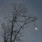 https://www.flickr.com/photos/giovanniq/52785088917/in/dateposted-public/