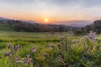 La mia gratitudine a tutti coloro che con la massima sincerit vorranno commentare, criticare o suggerire