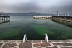 Attesa