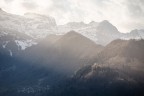 1/640 sec a f 25, ISO 1600, 70 mm 
Critiche e commenti ben accetti