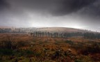Storm