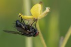 Macro Apr2023_1
