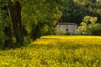 st