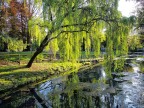 Giardini Salvi. Vicenza, aprile 2023