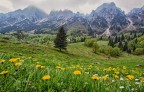 Altopiano delle Montagnole, Piccole Dolomiti di Recoaro. Maggio 2023