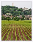 Trissino (VI), Valle dell'Agno. maggio 2023