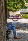 il miraggio occidentale