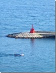 Faro