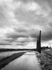 grigio Toscano