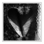 cuore nel fosso...