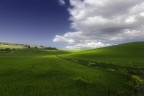 Spring_1