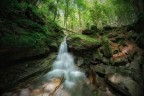 Parco Nazionale delle Foreste Casentinesi
Ps i dati dell'ottica sono errati
7artisan 7,5 f/2,8
f/22