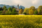 st