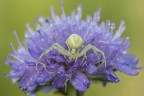 Macro_Giu2023_a4