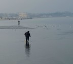 ..a pesca di cannolicchi...