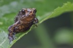 Macro_Giu2023_a2