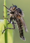 Macro_Giu2023_1