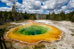 Yellowstone NP