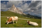 Appena sotto passo Giau, Dolomiti bellunesi.
Ivo