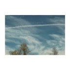 non CIELO dicono