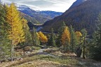 Autunno