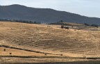 campi estivi III