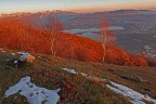 Rosso di sera