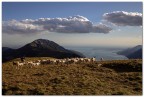 Monte Altissimo sul Baldo trentino. Una cena frugale al rifugio e l'attesa del tramonto; sul lago di Garda, 2000 metri sotto di me, le ombre sono gi cupe, il pastore sposta le pecore nel recinto elettrificato anti lupi li poco sotto in una conca naturale.... una scena ancestrale da brividi ...anche per il freddo, 7 gradi ai primi di agosto.