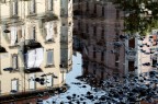 riflessi
