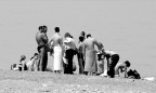 Il gruppo