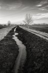 Traiettorie
