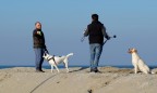 Mondo  cane....