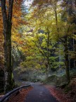 Autunno