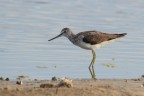 Pantana_DSC00390
