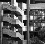 Contorsioni
