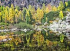 Autunno riflesso