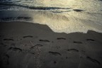 Viaggi